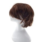 Gairyan Short Light Brown Cosplay Wig for Unisex Anime Costume Fun