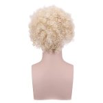 PATTNIUM Men's Short Curly Blonde Wig – Perfect Heat-Resistant Blonde 70s Costume Wig
