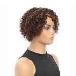 8-Inch Highlight Brown Short Curly Human Hair Wig - Brazilian Beauty for Every Occasion