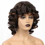 Afro Kinky Curly Fluffy Wig - Brown Short Wave Wig for Black Women