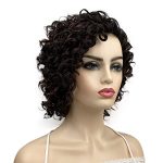 Fluffy Kinky Short Curly Synthetic Wig - Brown Mix Heat-Resistant Hair for Natural Look and Everyday Glam