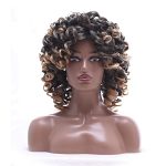 Flaunt Your Style with Short Curly Wigs - Bouncy and Lightweight, Perfect for Daily and Party Use
