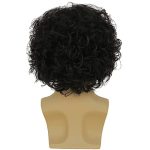Curly Short Black Men's Wig - Ideal for Halloween, Cosplay, and Costume Parties