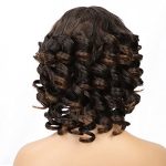 Afro Kinky Curly Fluffy Wig - Brown Short Wave Wig for Black Women