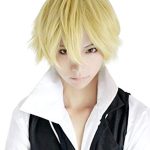 Elevate Your Style with Rise World Wig - Cool, Short, and Heat Resistant for Ultimate Cosplay Transformation