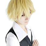 Rise World Wig - Cool, Short, and Heat Resistant for Ultimate Cosplay Transformation