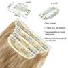 Blonde Hair Extensions Clip ins - Ombre Ash Brown to Bleach Blond