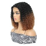 Ombre Brown Short Curly Afro Wig for Black Women - Lace Frontal Synthetic Wig with Middle Part