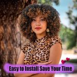 Daily Look with Fluffy Curly Afro Wig for Black Women - Natural and Stylish 1B30 Black to Auburn Brown