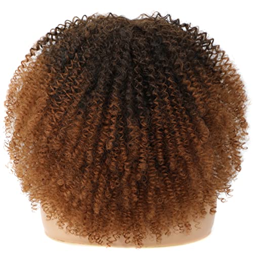 Ombre Brown Curly Wig - Fashionable Synthetic Hair for Stunning Styles