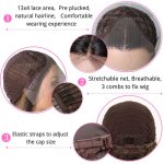 SALLYWELL Ombre Brown Lace Front Wigs - Elevate Your Style with Premium Synthetic Elegance