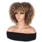 Hanne Fashion Afro Curly Wig - Short Kinky Curly Wig for Effortless Style, Ombre Blonde Glamour