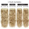Blonde Hair Extensions Clip ins - Ombre Ash Brown to Bleach Blond