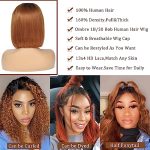 Bob Wig Human Hair 13x4 HD Lace Front Wigs Glueless Human Hair for Women 1B/Dark Ginger Short Bob Human Hair Wigs Pre Plucked Glueless Wigs Straight Bob Lace Front Wigs (16 Inch, 160% Density)