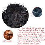 ANNISOUL Ombre Brown Long Curly Afro Wig for Black Women - Glamorous Hair for Cosplay and Daily, Featuring Special Bang Design