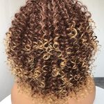 Short Curly Wigs for Black Women - Big Bouncy Hair Wig for Fun and Beautiful Styles