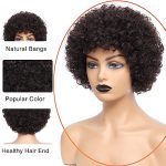 Afro Bomb Curly Wig with Bangs - 8 Inch Natural Brown Synthetic Wig for Black Women - Perfect for Daily, Party, and Costume Wear