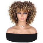 Hanne Fashion Afro Curly Wig - Short Kinky Curly Wig for Effortless Style, Ombre Blonde Glamour