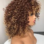 Short Curly Wigs for Black Women - Big Bouncy Hair Wig for Fun and Beautiful Styles