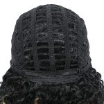 Ombre Brown Short Curly Afro Wig for Black Women - Lace Frontal Synthetic Wig with Middle Part