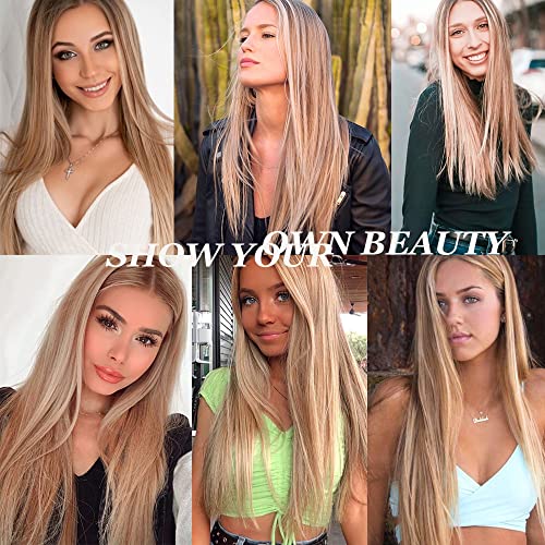 QD-Tizer Blonde Hair Highlights Lace Front Wig - Long Straight Heat Resistant Fiber Wig for Fashion Women, Effortless Elegance with 13x3 Frontal Lace (Blonde/Brown)