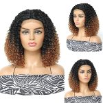 Ombre Brown Short Curly Afro Wig for Black Women - Lace Frontal Synthetic Wig with Middle Part