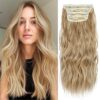 Blonde Hair Extensions Clip ins - Ombre Ash Brown