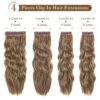Natural Soft Synthetic Hairpieces for Women - a set of 4PCS Clip in Hair Extensions