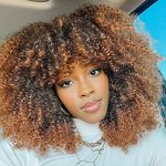 Dazzle in Diversity: Ombre Brown Afro Wig - 14 Inch