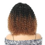 Ombre Brown Short Curly Afro Wig for Black Women - Lace Frontal Synthetic Wig with Middle Part