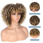 Hanne Fashion Afro Curly Wig - Short Kinky Curly Wig for Effortless Style, Ombre Blonde Glamour