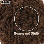 Get the Party Started with a Vibrant 10-Inch Afro Kinky Curly Wig - Synthetic Chic for Every Occasion!