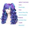 Long Curly Cosplay Wig with 2 Ponytails in Mesmerizing Blue and Purple Hues