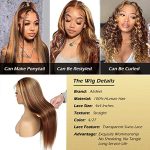 4x4 Highlight Lace Closure Wig - Experience 10A Grade Brazilian Virgin Human Hair in Stunning 4/27 Ombre Colored Straight Wig