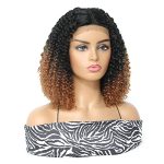 Ombre Brown Short Curly Afro Wig for Black Women - Lace Frontal Synthetic Wig with Middle Part