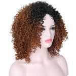16-Inch Short Curly Kinky Wigs - Ombré Beauty for Effortless Style