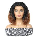 Ombre Brown Short Curly Afro Wig for Black Women - Lace Frontal Synthetic Wig with Middle Part