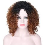 16-Inch Short Curly Kinky Wigs - Ombré Beauty for Effortless Style