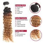🌊 Radiant Ripples Collection: Brazilian Ombre Deep Wave Virgin Hair - 4 Bundles for Mesmerizing Wet and Wavy Styles! 🌈