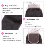 Silken Charm Unleashed: 12A Brazilian Straight 4x4 HD Lace Closure (12 Inch)