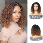 Ombre Brown Short Curly Afro Wig for Black Women