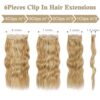 Strawberry Blonde Blend Marvel: 20 Inch Long Wavy Clip-In Hair Extensions - 6 Pieces for Natural Volume and Easy Style Enhancement