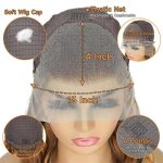 Honey Blonde Highlight Ombre Lace Front Wig - 24 Inches of Glamour and Versatility
