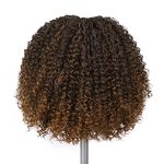 Love Lace Front Curly Wig - 15 Inch Short Curly Bob, Kinky Curly Wig in Ombre Brown, Synthetic Wig for Black Women - Perfect for Every Occasion