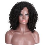Transform Your Look with Long Natural Curly Wig - Kinky Afro Vibes, Synthetic Elegance for Daily and Party Wear