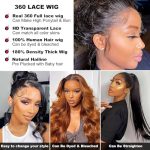 360 Lace Front Wigs Human Hair Water Wave HD Transparent Lace