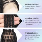 HD Lace Front Knotless Braided Wigs: Long, Natural, and Salon-Worthy Look!