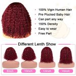 Short Curly Bob Wig in Stunning 99J - Brazilian Virgin Hair, 4x4 Lace Closure, and 150% Density for a Natural Curly Wave