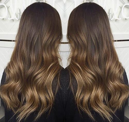 SALLYWELL Ombre Brown Lace Front Wigs - Elevate Your Style with Premium Synthetic Elegance
