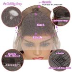 24-Inch Honey Blonde Lace Front Wig – HD Transparent 4/27 Ombre Highlights for Stunning Style